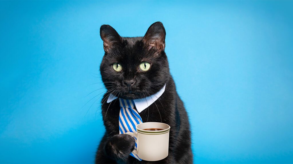 Black cat with green eyes wearing a white shirt and blue striped tie, holding a coffee mug against a blue background.
